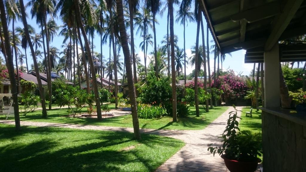 Catsen Bungalows & Rooms Mui Ne Bagian luar foto
