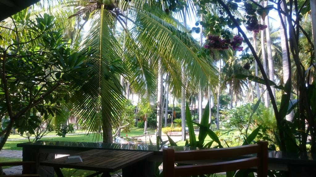 Catsen Bungalows & Rooms Mui Ne Bagian luar foto